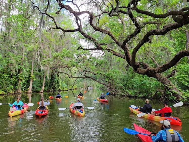 Dora Canal Half-Day Kayak and Paddle Board Rental Adventure