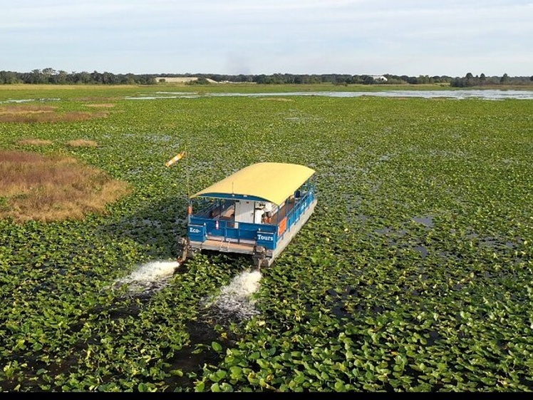 90 Minute Pontoon Cruise in Florida