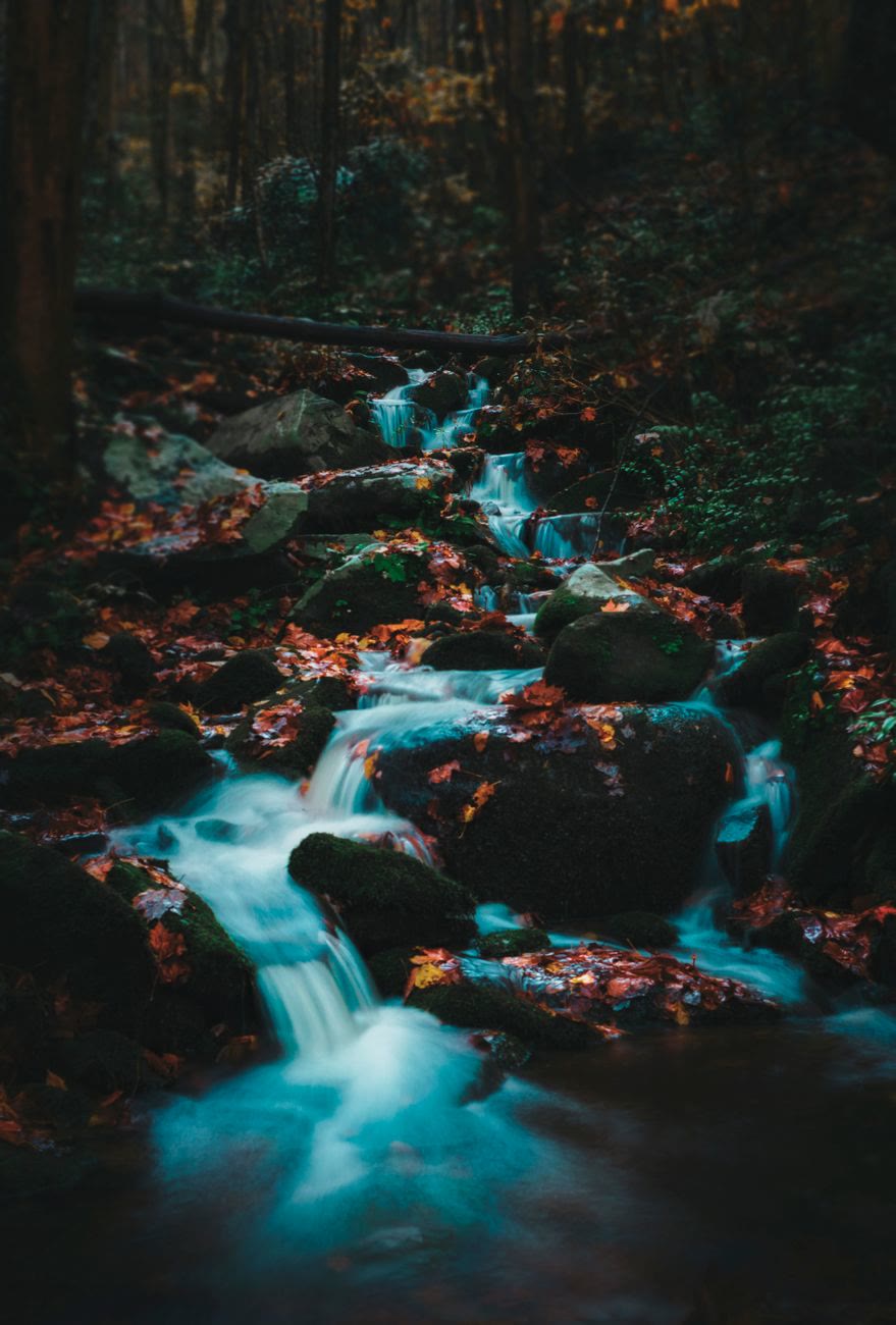 Fall in the Orlando Area Is a Different Experience